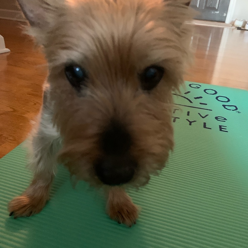 Meet your Posher, Barb